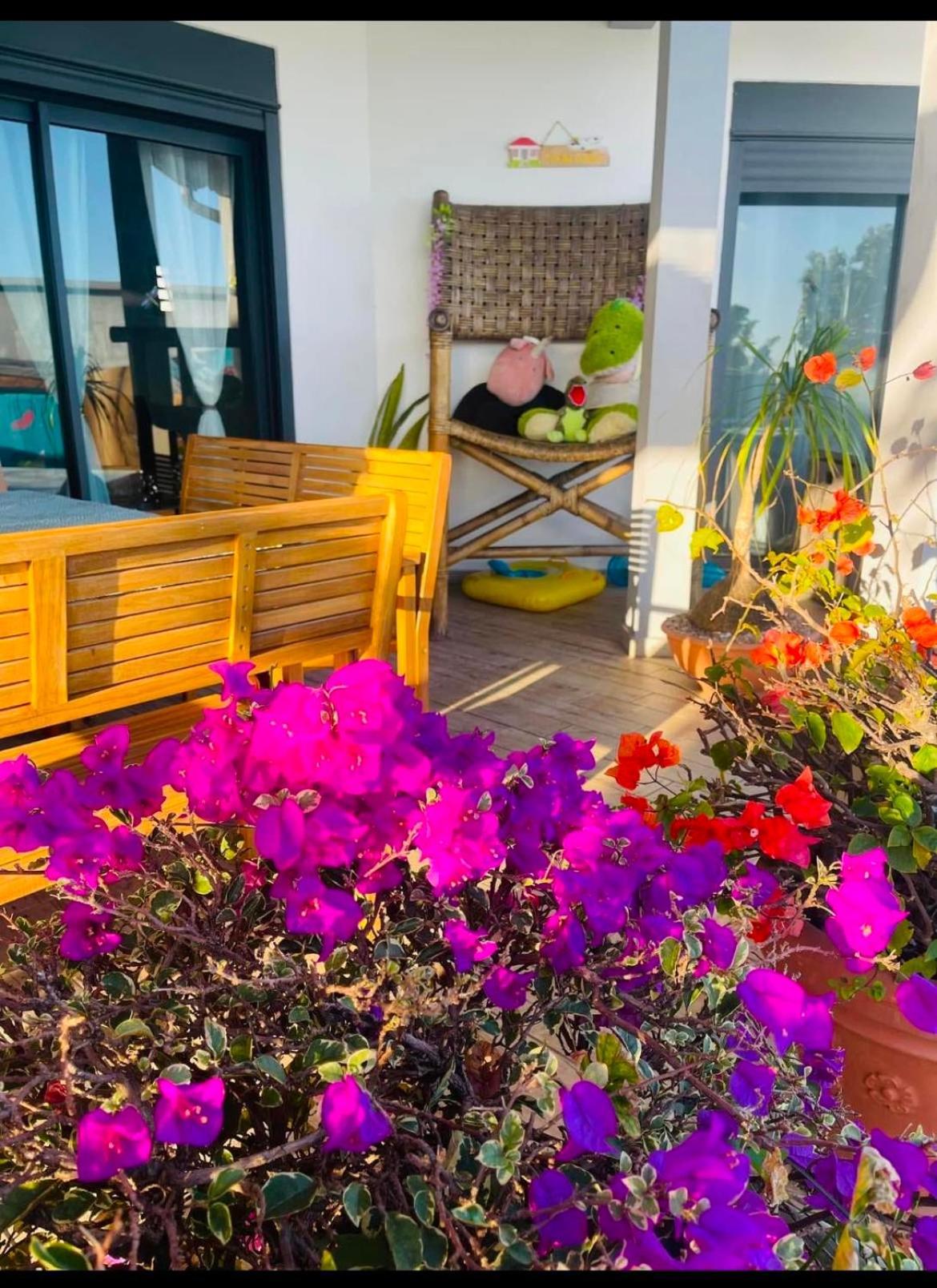 La Villa Tikalikata سانت-جوزيف المظهر الخارجي الصورة